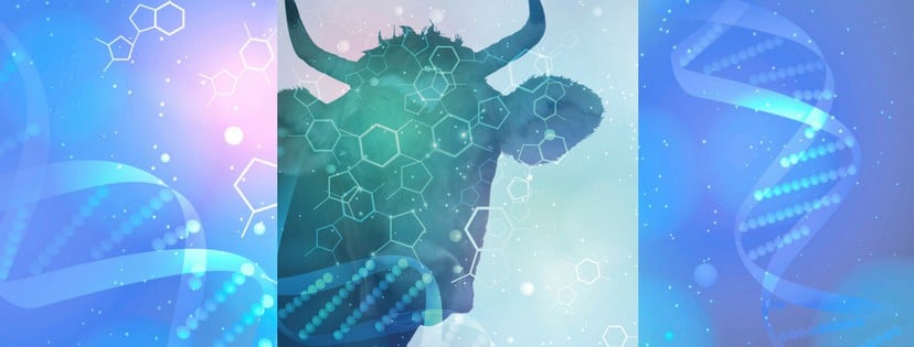 Silhouette of cow with hexagon and dna shapes on top