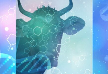 Silhouette of cow with hexagon and DNA shapes on top