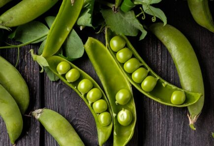 The science of plant-based meat 5 Peas in pods