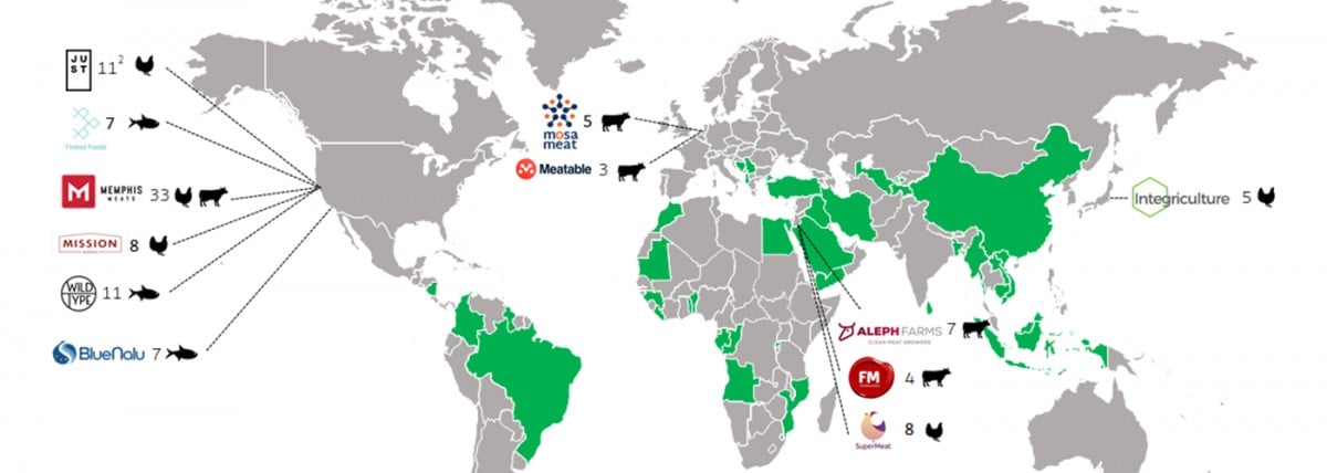 World map of alternative protein manufacturers