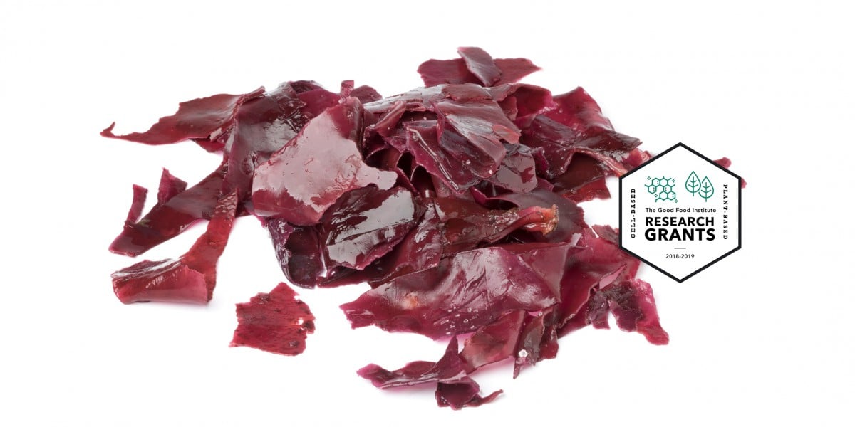 https://gfi.org/wp-content/uploads/2019/07/Dulse-Seaweed-for-Plant-Based-Meat-with-BADGE-2.jpg