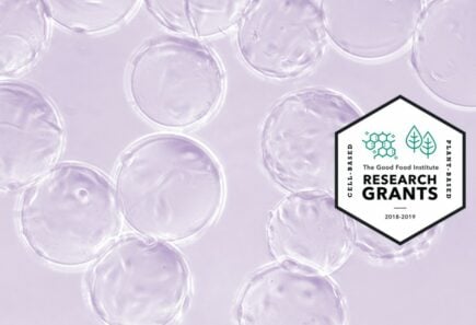 Research grants banner