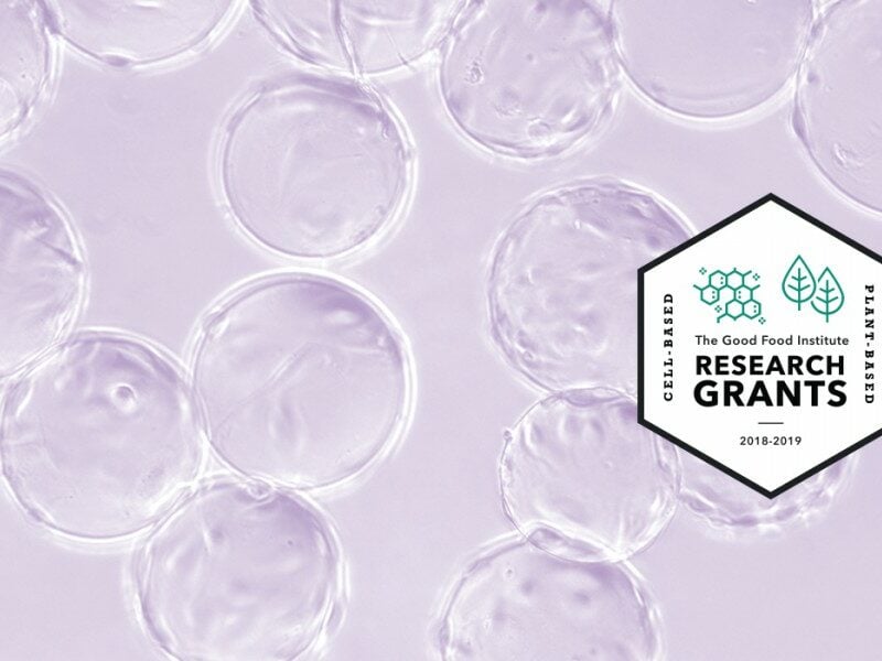 Research grants banner