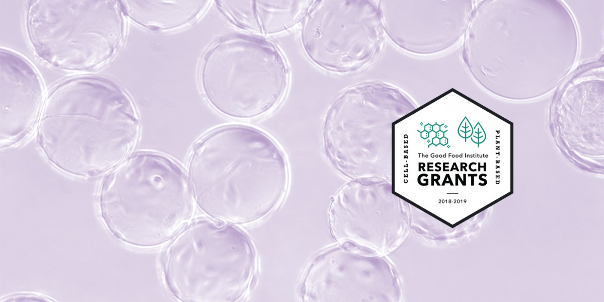 Research grants banner