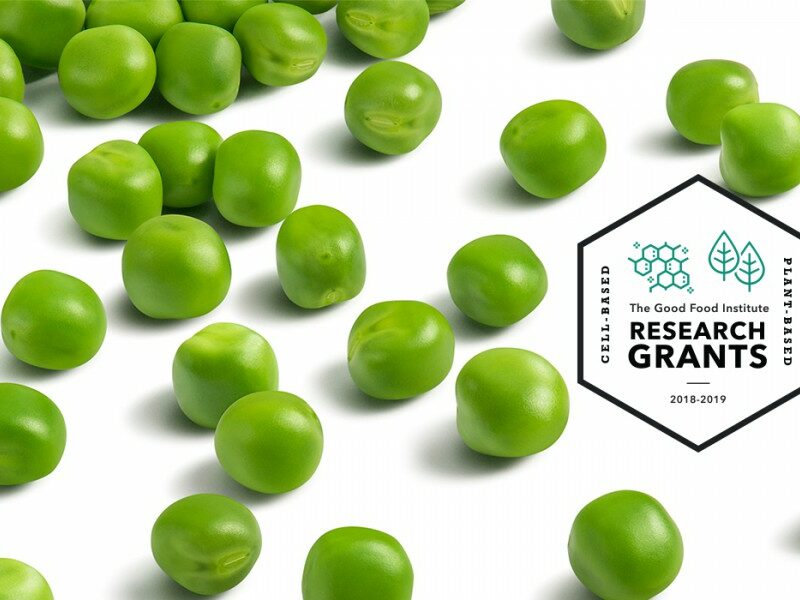 Research grants banner