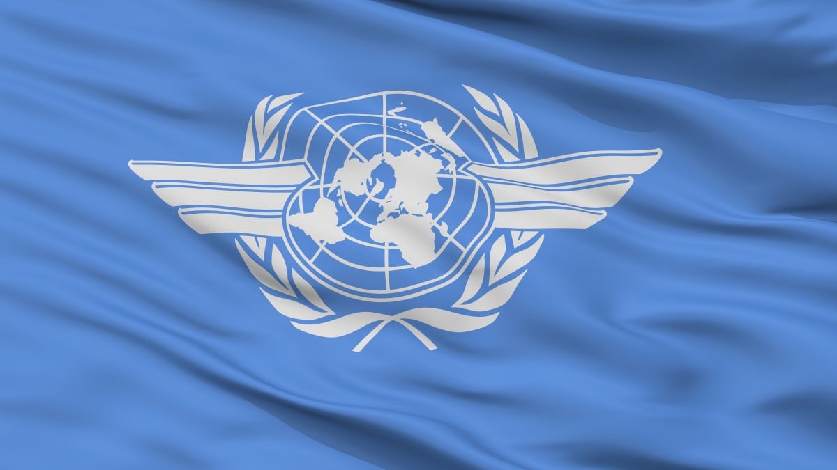 United nations flag