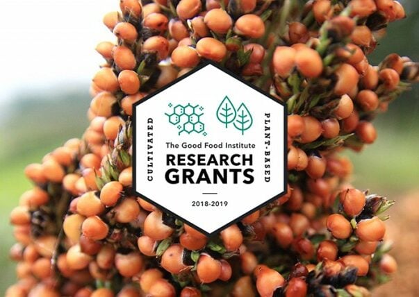 Research grants banner