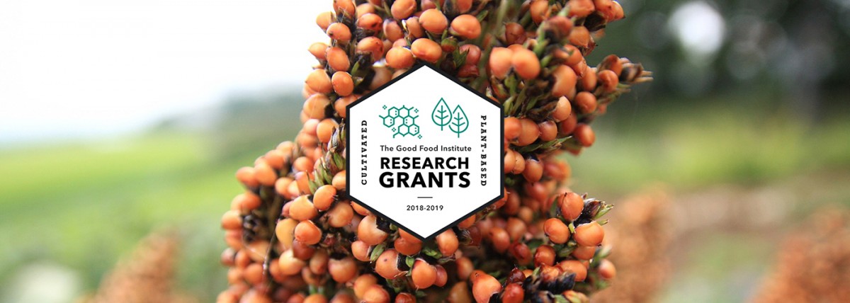 Research grants banner