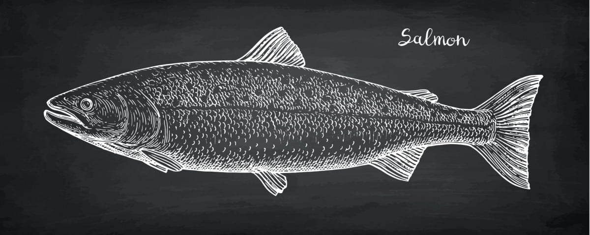 Salmon diagram