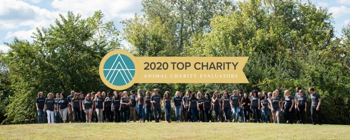 2020 top charity with gfi employees