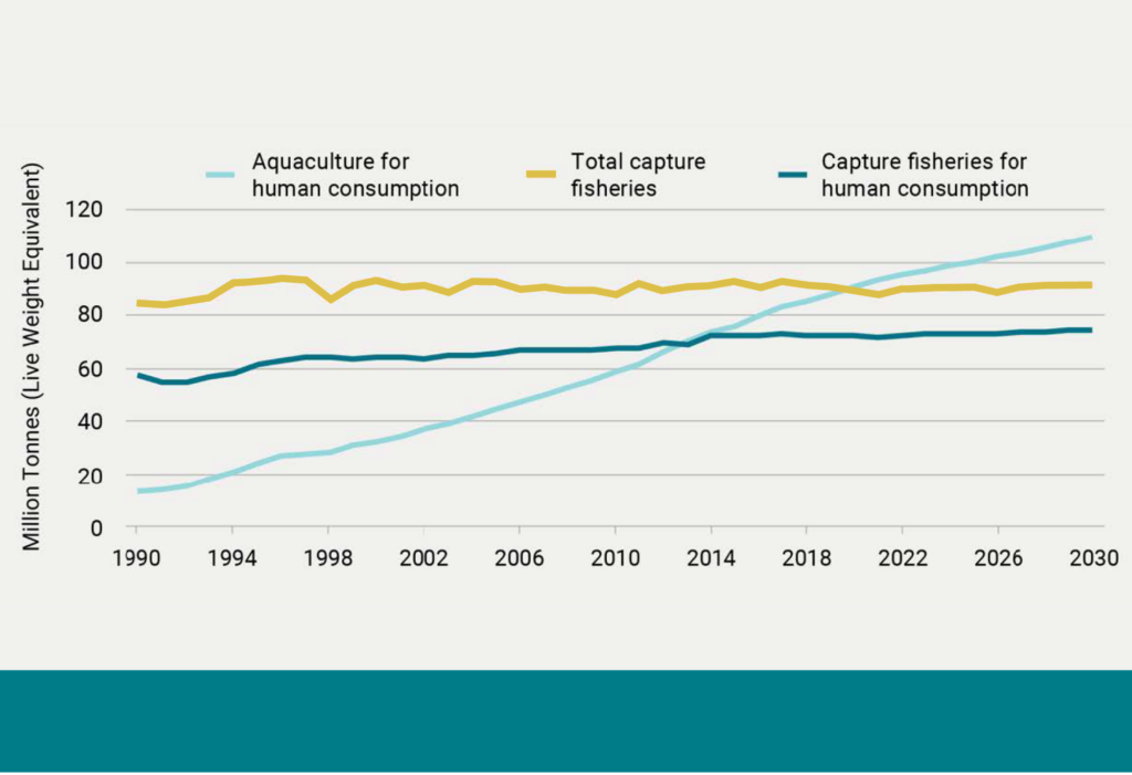 Sci21017 tonnes of consumption