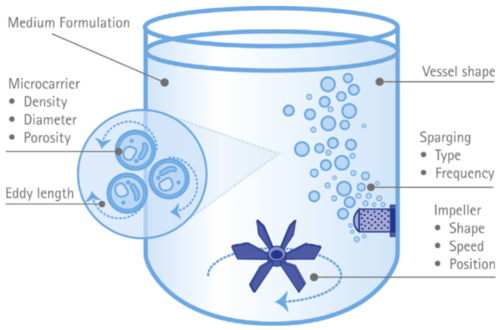 Diagram of a stirred tank bioreactor