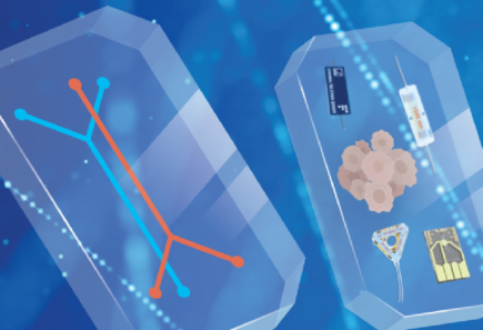 Biosensor concept for monitoring cultivated meat production in real time