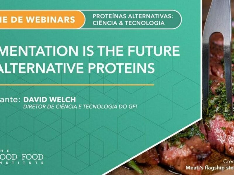 Fermentation is the future of alternative proteins webinar title slide