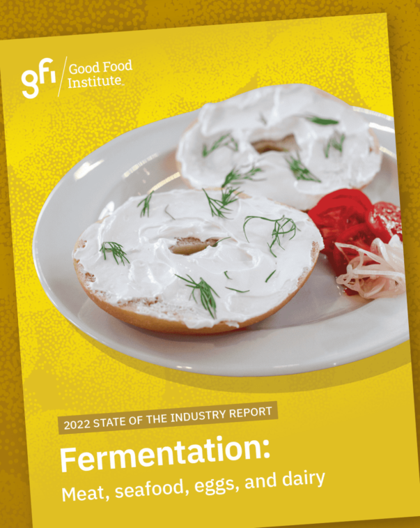Fermentation 6 An image of the 2022 state of the industry fermentation report cover