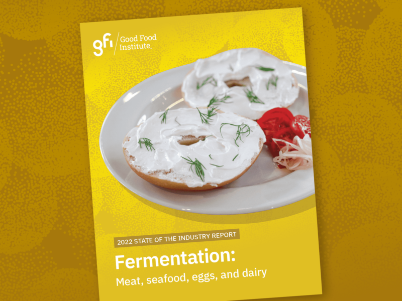 An image of the 2022 state of the industry fermentation report cover