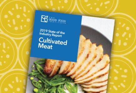 Cultivated Meat State of the Industry Report cover with vector graphic background