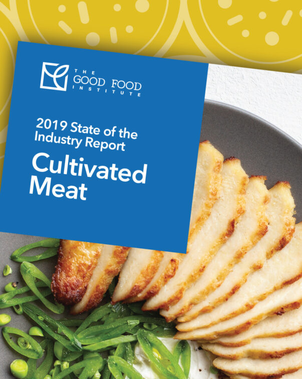 Cultivated Meat State of the Industry Report cover with vector graphic background