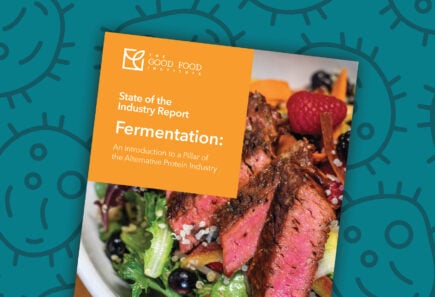 Liz specht, ph. D. 16 Fermentation state of the industry report cover with vector graphic background