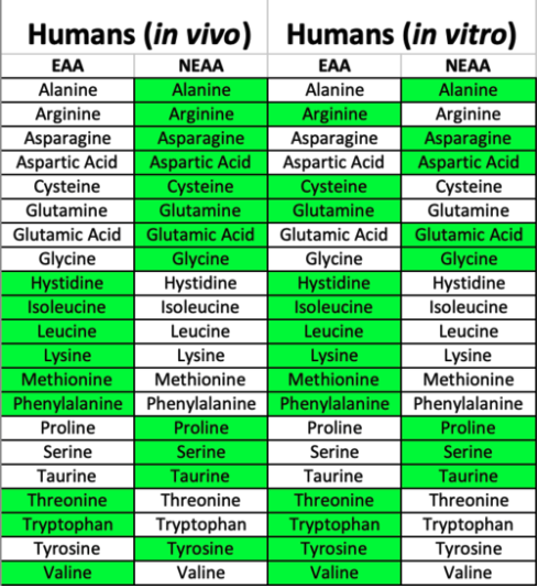 Table indicating essential and non-essential amino acids in vivo and in vitro