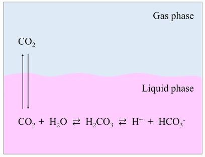 Illustration of buffering between gas and liquid phase