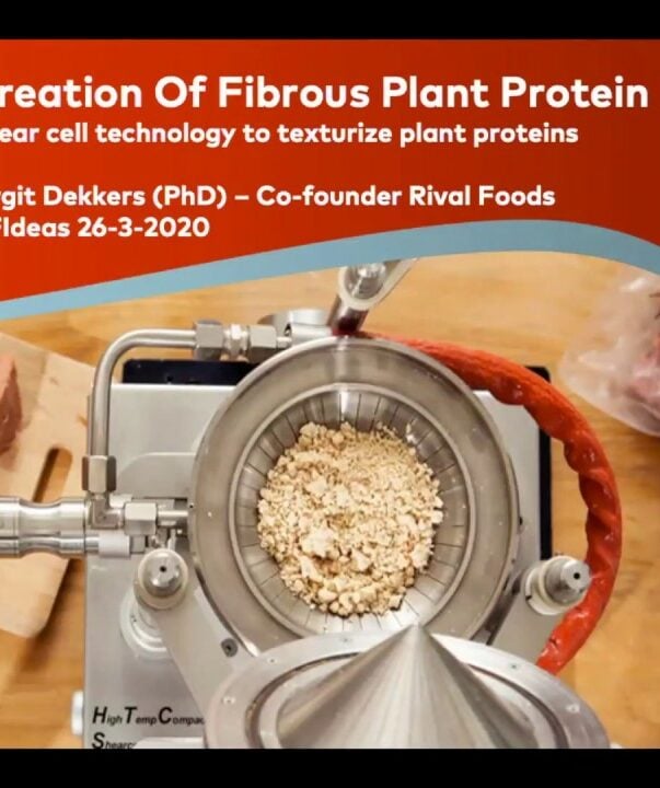 Creation of fibrous plant protein foods webinar