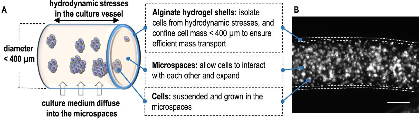 Hydrodynamic stresses chart