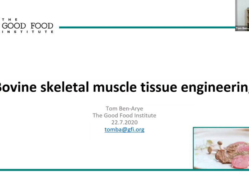 A screenshot from gfi senior scientist dr.  tom ben-arye’s webinar for creating three-dimensional to mimic the extracellular matrix for cultivated meat