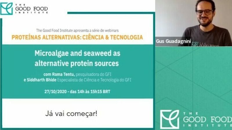 A screenshot from a webinar about using seaweed and microalgea for alt proteins