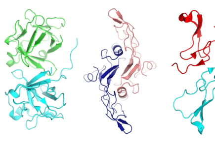 Rainbow representations of protein structures for a cultured meat concept