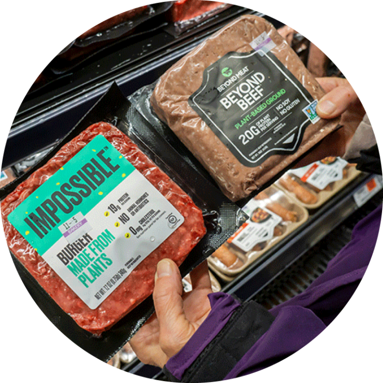 Alternative protein company database (2024) GFI