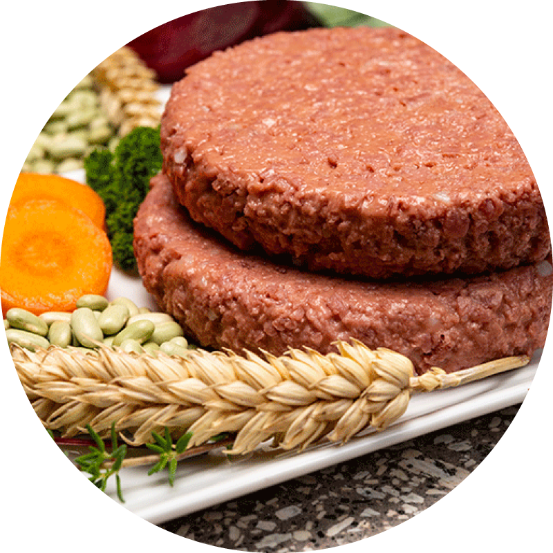 Plant based soy protein burger patties on a white plate next to wheat, legumes, carrots and beets