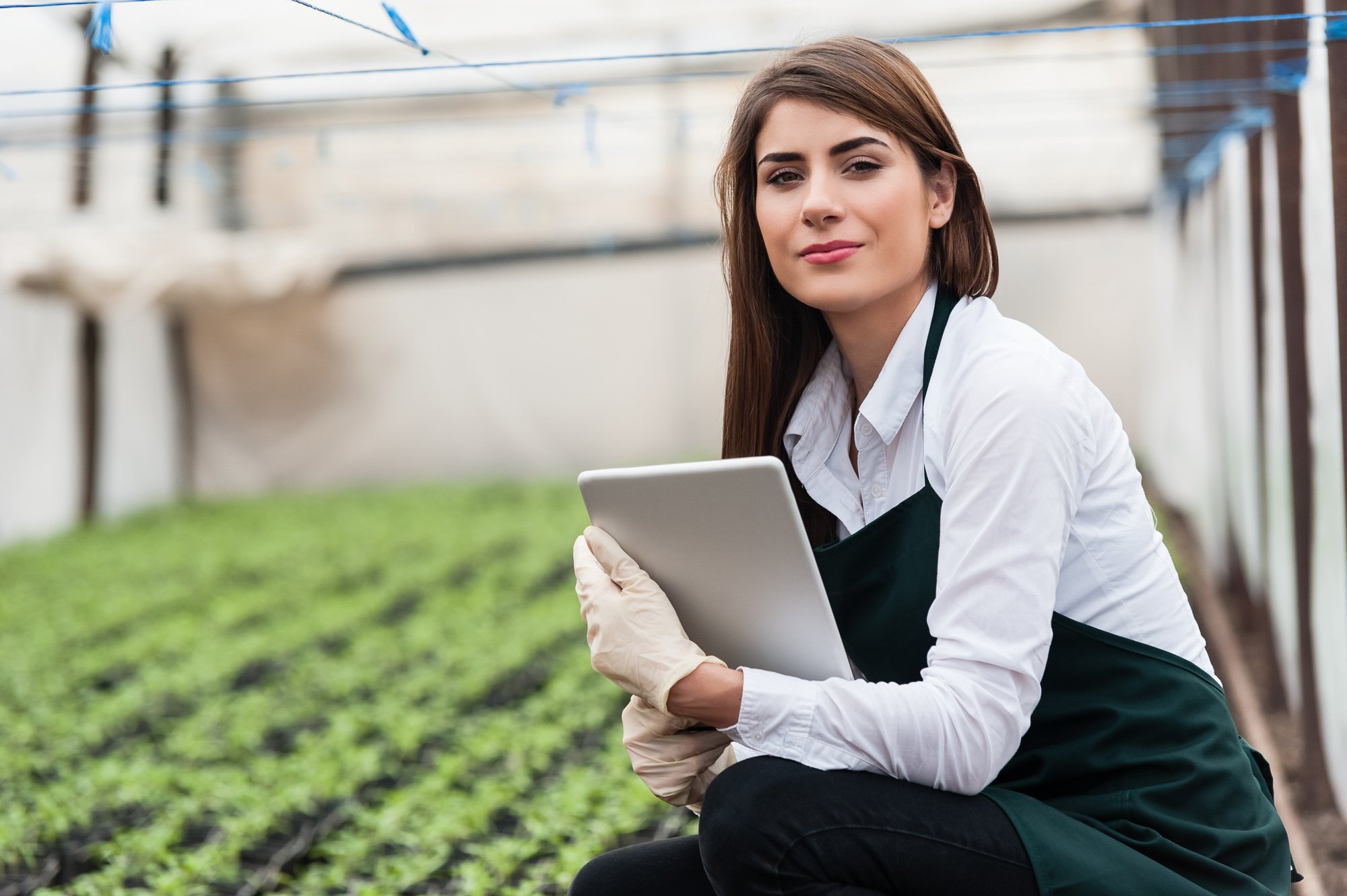 Female researcher in an indoor growing facility kneeling in front of rows of crops