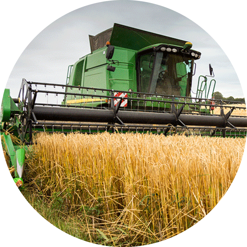 Combine harvester at work in a field of wheat