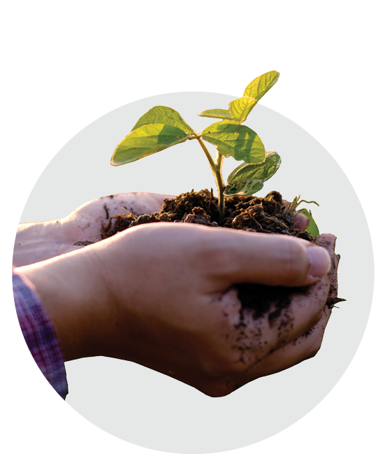 Hands holding a seedling representing support and growth