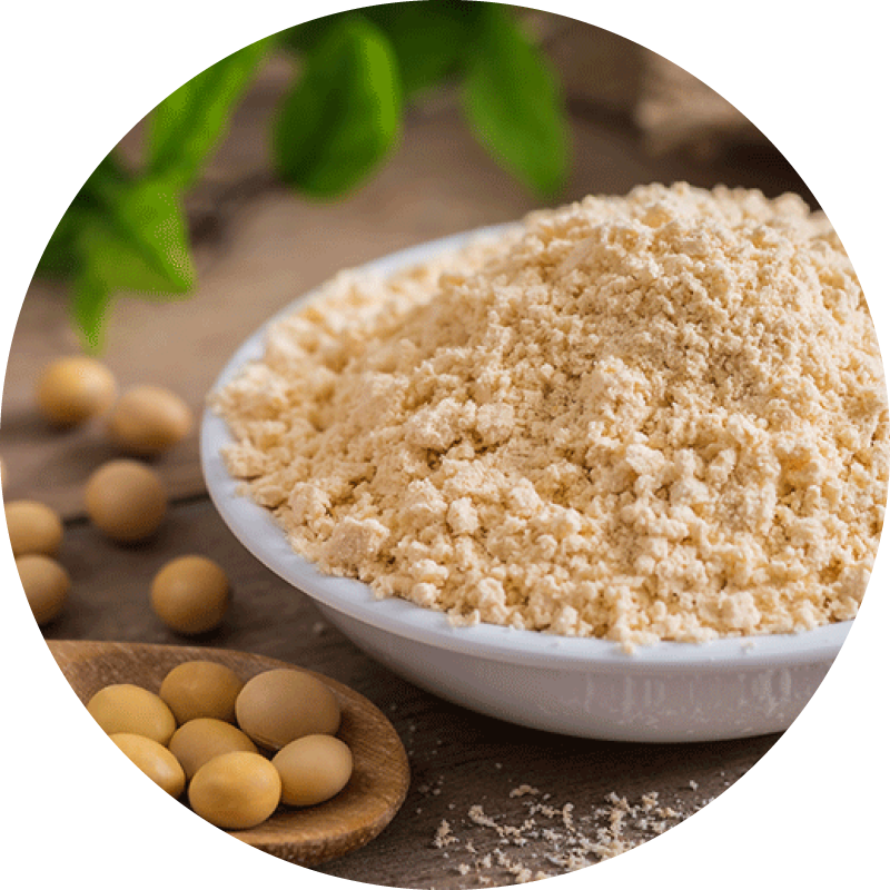 Soy flour in a bowl with a spoon holding soybeans