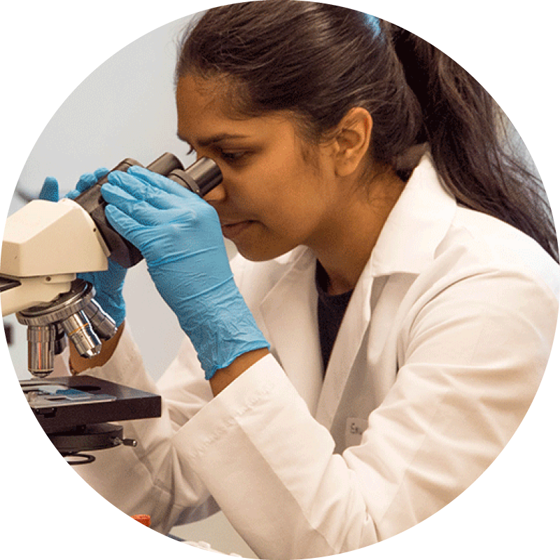 Scientist looking through a microscope, wearing blue gloves