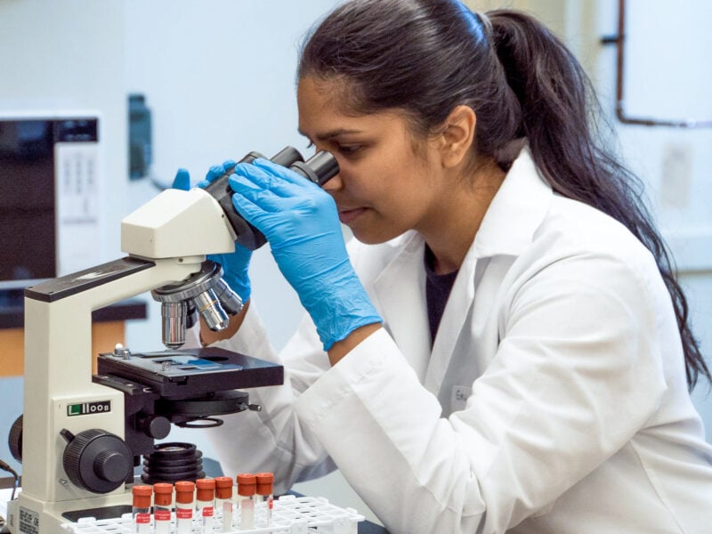 Scientist looking through a microscope, wearing blue gloves