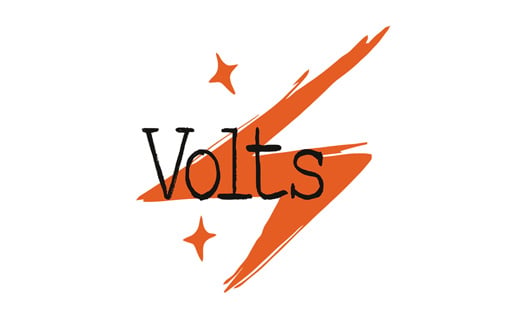 Bruce friedrich 2 Volts logo 1