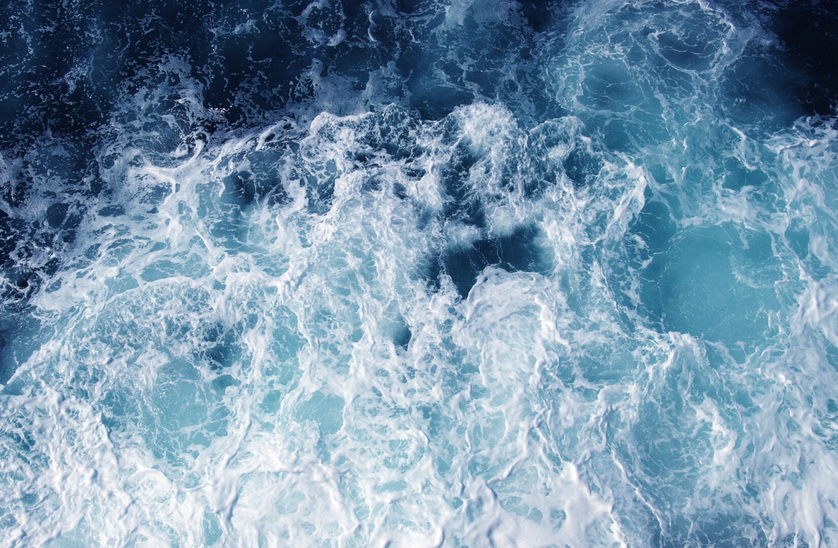An ocean of opportunity Plantbased &amp; cultivated seafood