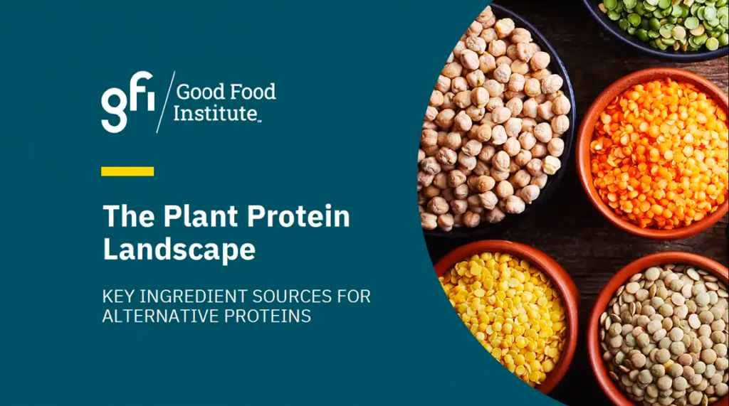 Plant-based protein-An alternative approach to food - Spire Research and  Consulting