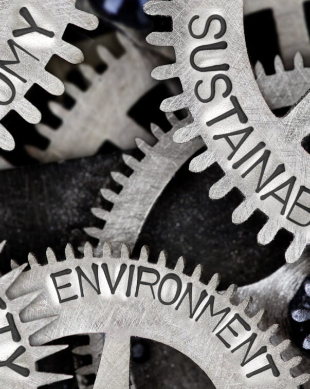 Gears labeled with economy, sustainability, society, environment