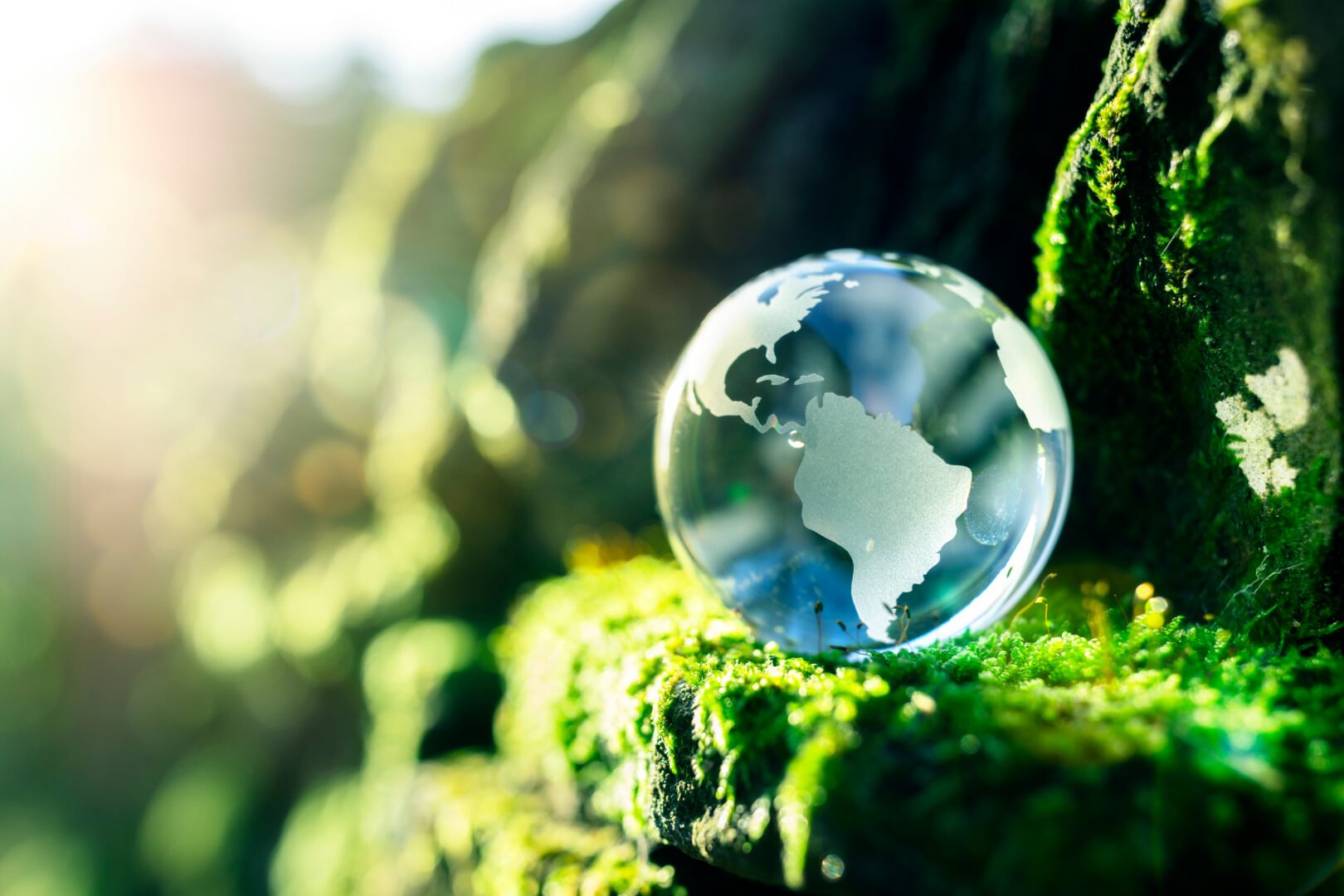 Earth globe on a ledge of greenery in a forest