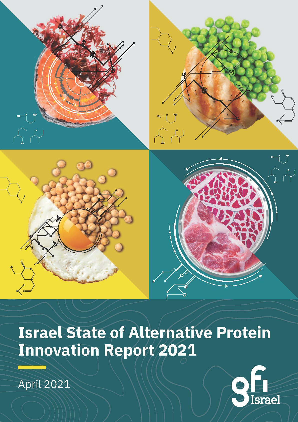 Gfi israel state of alternative protein innovation report 2021 cover image