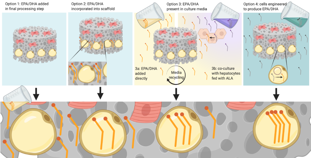 Omega 3 fatty acids in cultivated fish 3