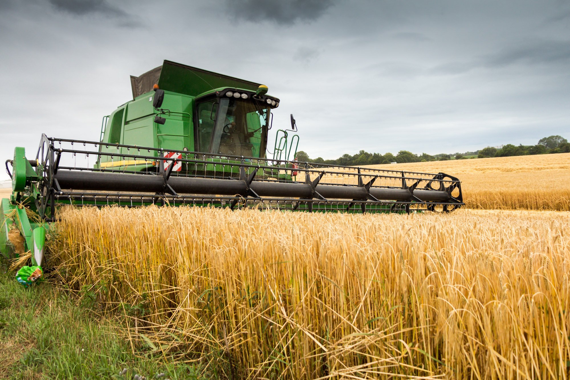 Combine harvester at work in a field of wheat