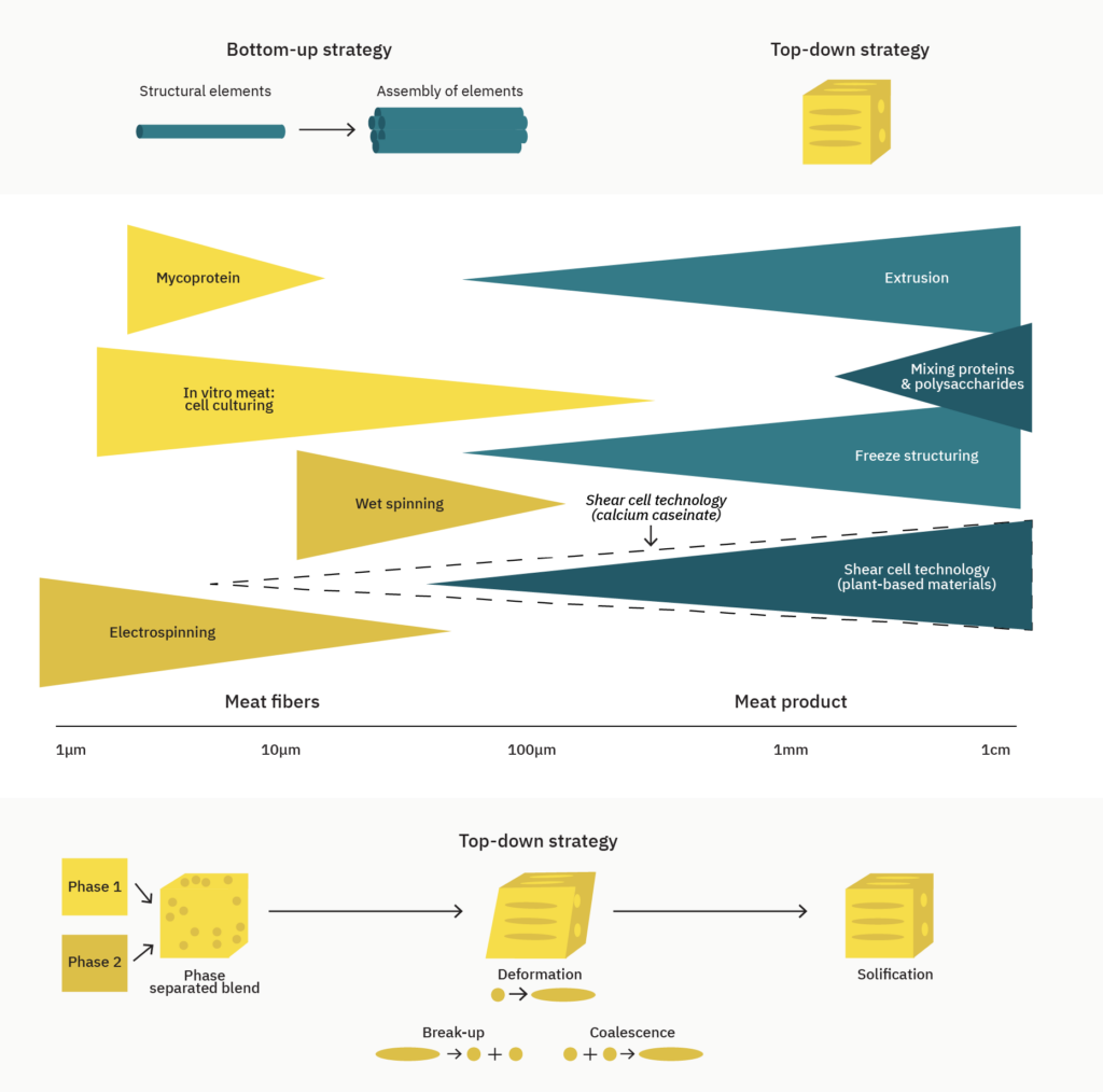 Sci21008 pb deep dive graphics figure2