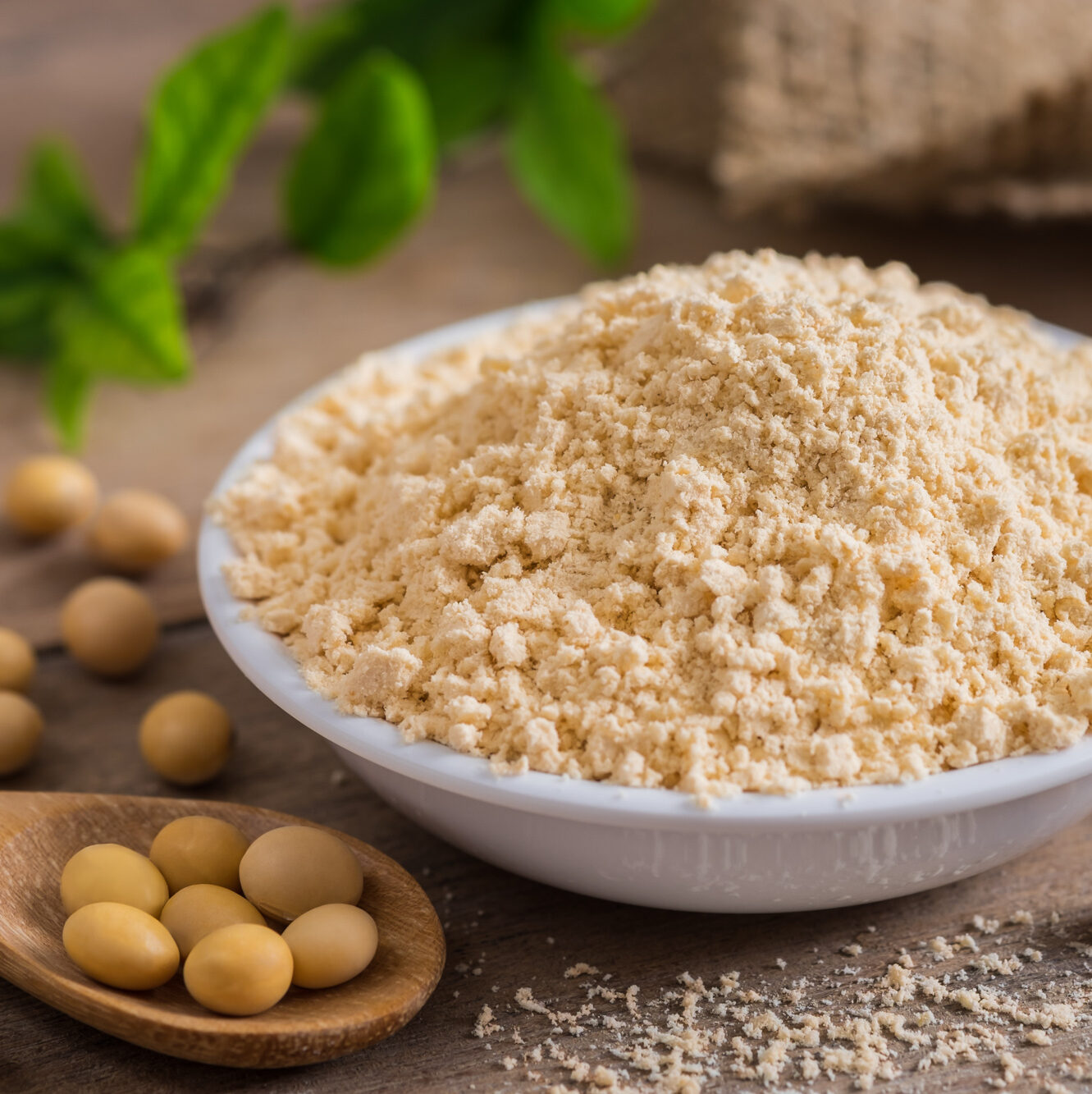 Soy flour in a bowl with a spoon holding soybeans