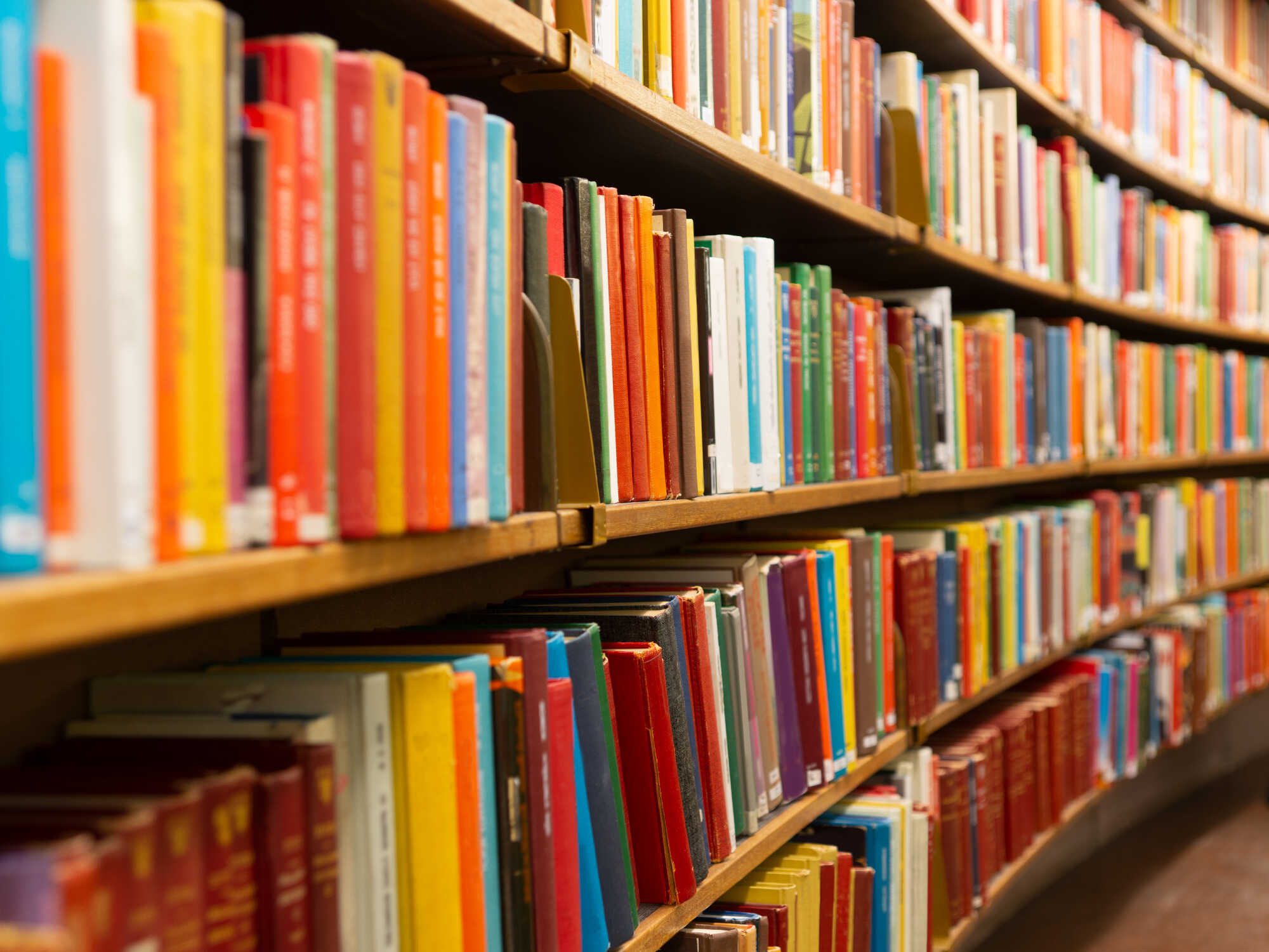 A library bookshelf