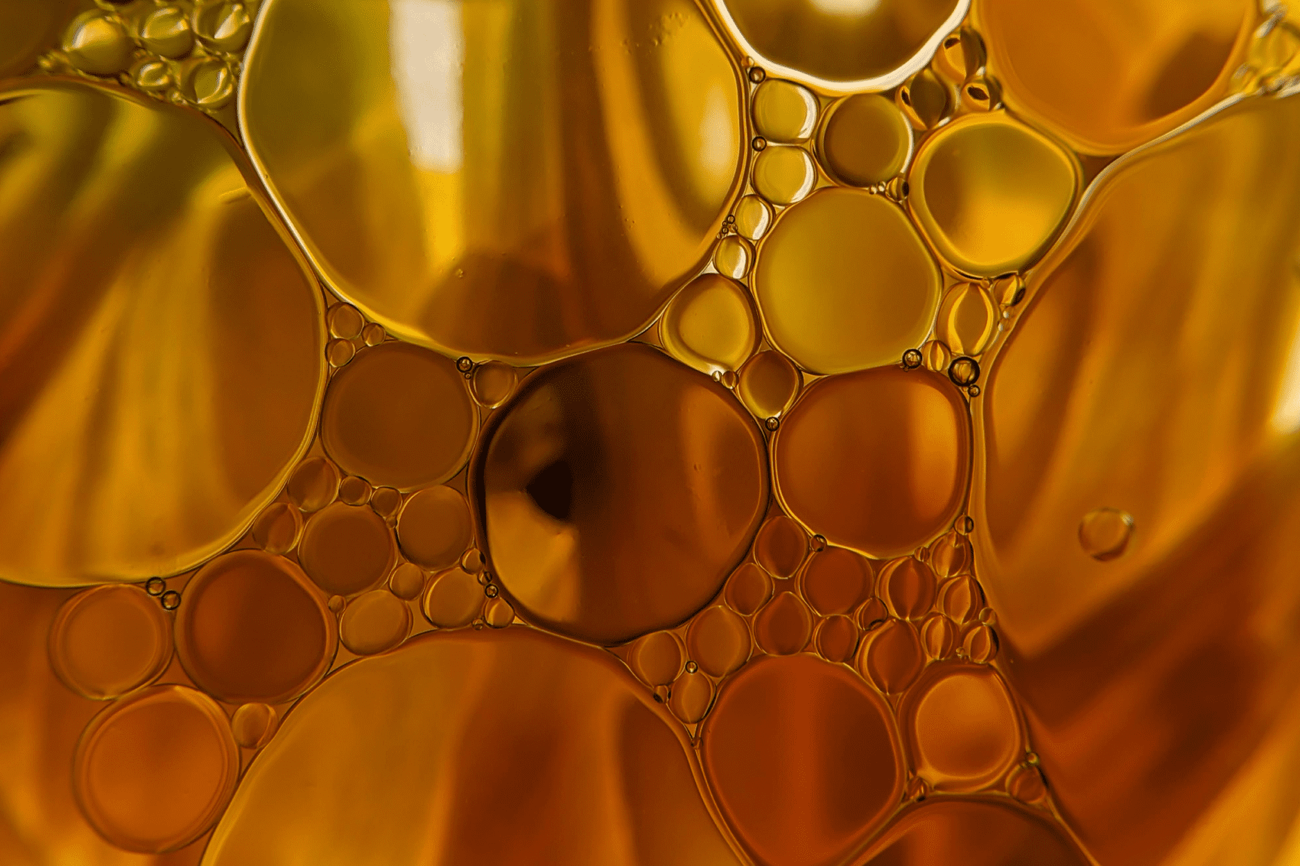 Macro of oil bubbles in water with a floral background